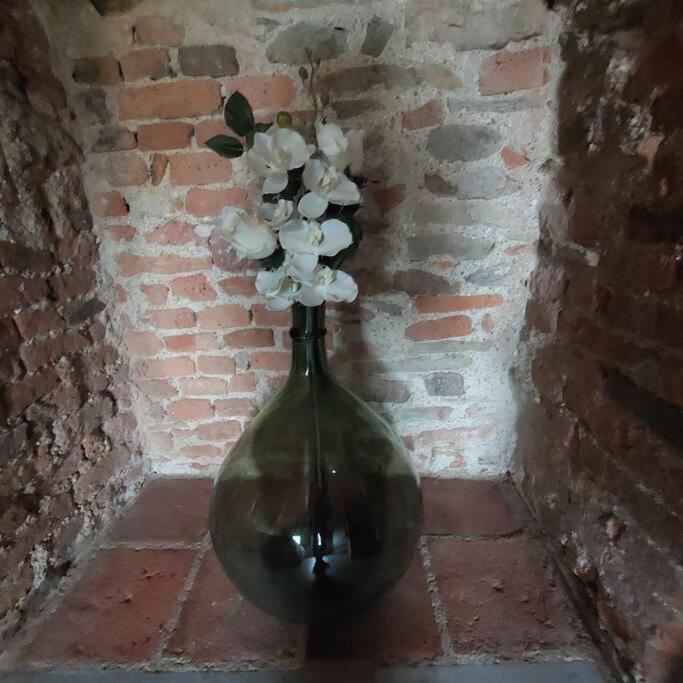 Apartamento Istanti - Rosmarino Costigliole Saluzzo Exterior foto